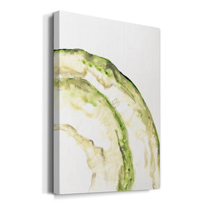 Lichen Halo VI - Canvas Art Print