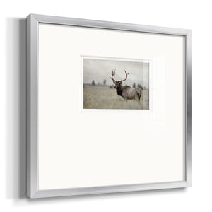 Grand Elk Premium Framed Print Double Matboard