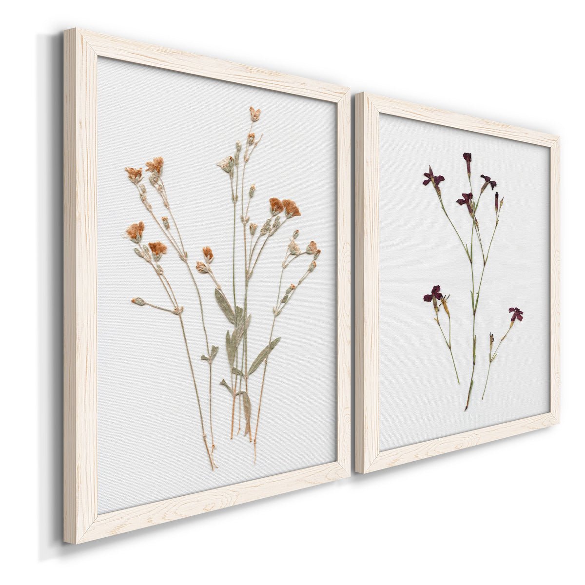 Pressed Botanical I - Premium Framed Canvas 2 Piece Set - Ready to Hang