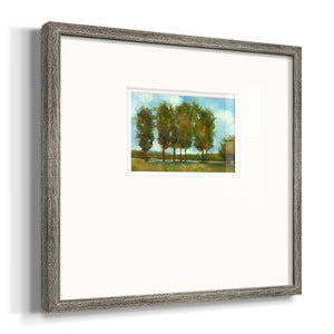 Tall Trees   Premium Framed Print Double Matboard