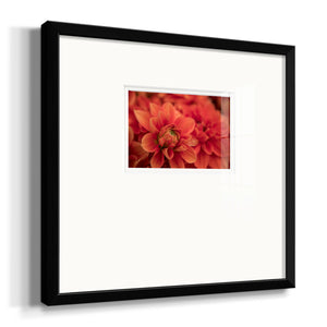 Spring Fire Premium Framed Print Double Matboard