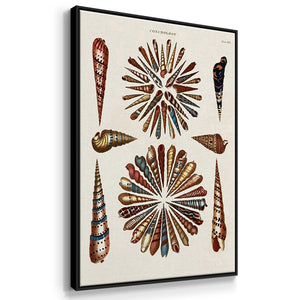 Spiral Shell Formation I - Framed Premium Gallery Wrapped Canvas L Frame 3 Piece Set - Ready to Hang