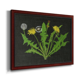Wild Dandelion I Premium Framed Canvas- Ready to Hang