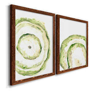 Lichen Halo III - Barnwood Framed Canvas Set