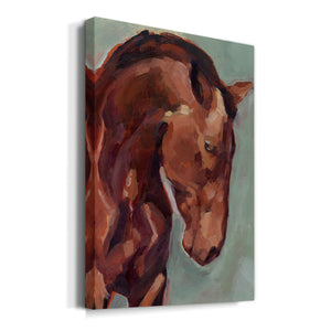 Paint by Number Horse II - Canvas Art Print