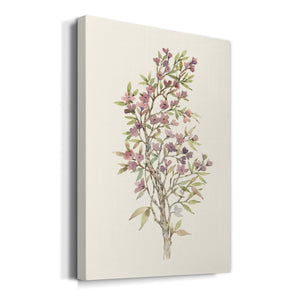 Twig Study I Premium Gallery Wrapped Canvas - Ready to Hang