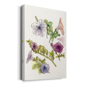 Floral Field Notes III Premium Gallery Wrapped Canvas - Ready to Hang