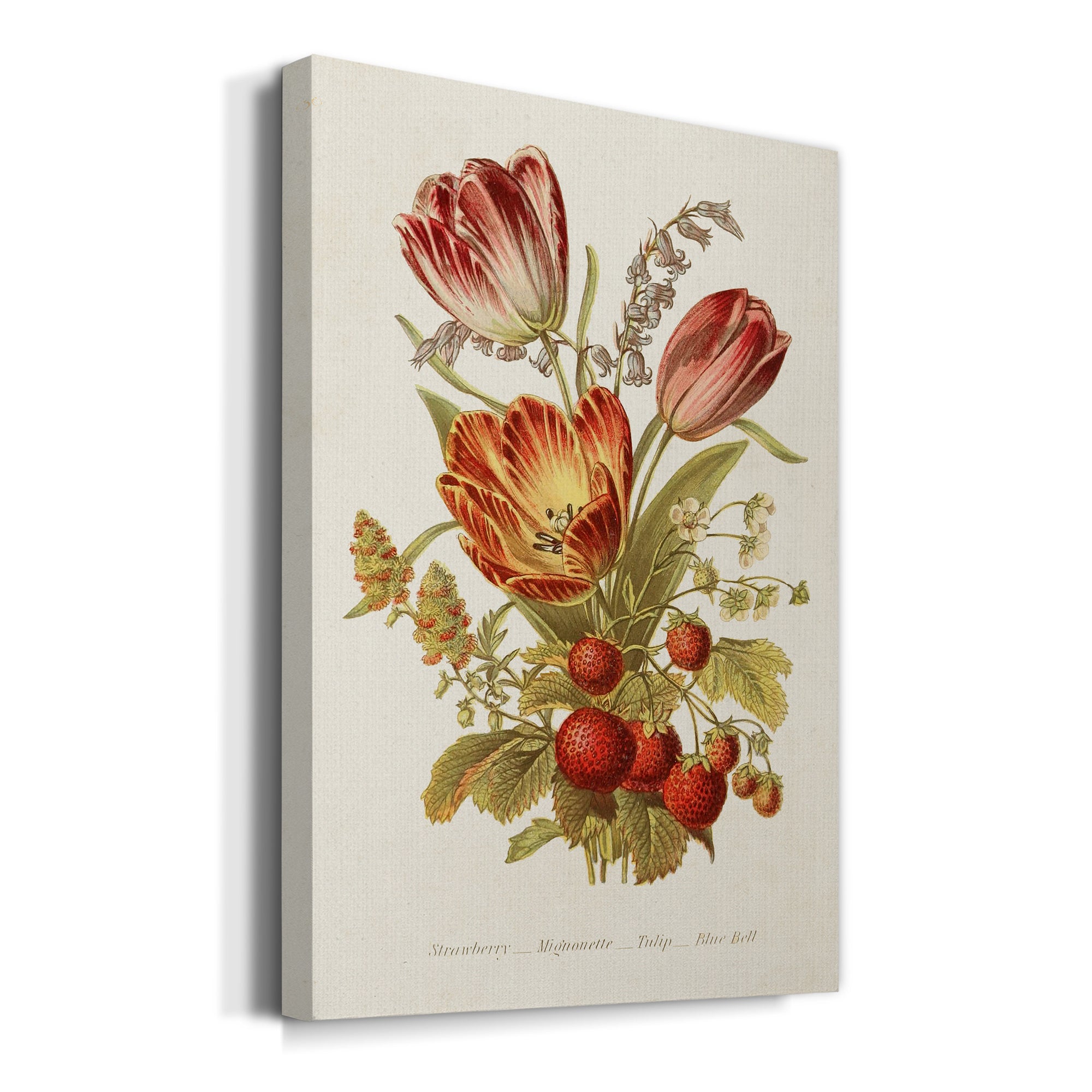 Antique Floral Bouquet IV Premium Gallery Wrapped Canvas - Ready to Hang