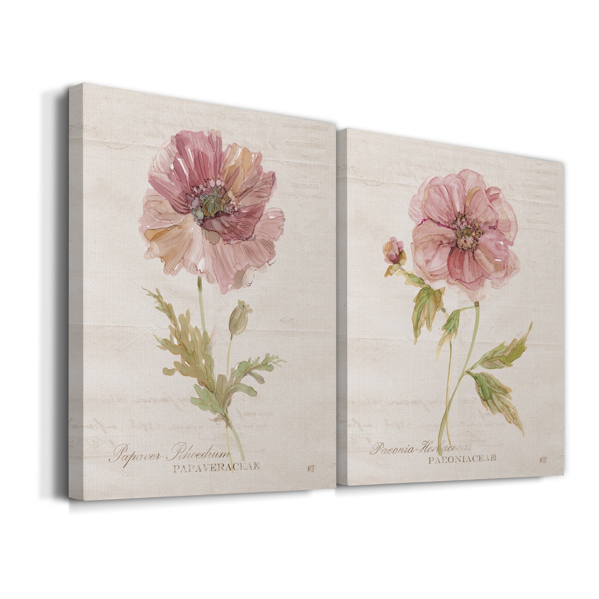 Soft Poppy Premium Gallery Wrapped Canvas - Ready to Hang - Set of 2 - 8 x 12 Each