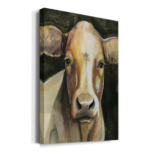 Sweet Eyes II - Canvas Art Print