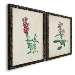 Traditional Botanical I - Premium Framed Canvas 2 Piece Set - Ready to Hang