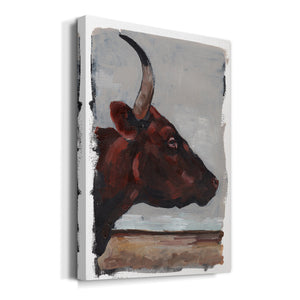 Cattle View II - Canvas Art Print