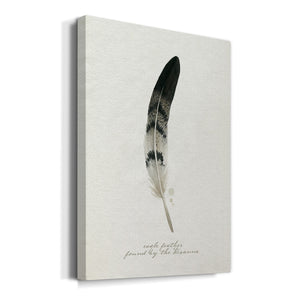 Found Feather I - Canvas Art Print