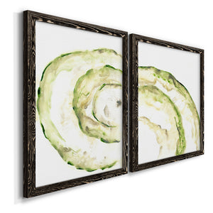 Lichen Halo V - Barnwood Framed Canvas Set