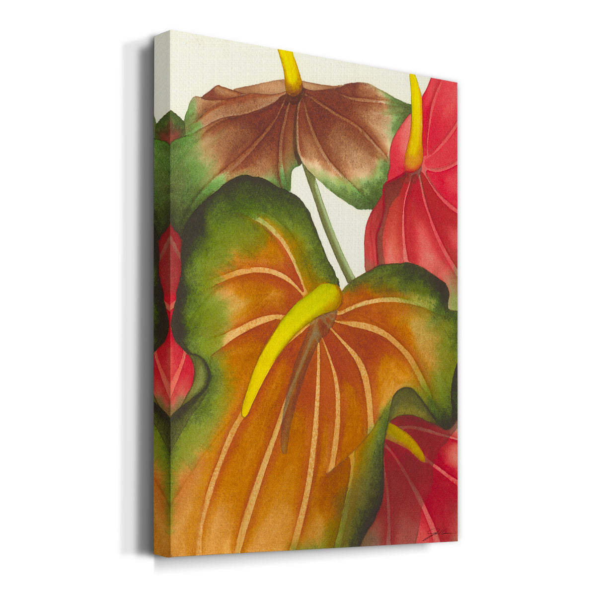 Anthuria I Premium Gallery Wrapped Canvas - Ready to Hang