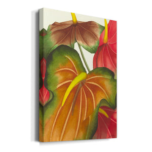 Anthuria I Premium Gallery Wrapped Canvas - Ready to Hang