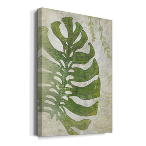 Frond III Premium Gallery Wrapped Canvas - Ready to Hang