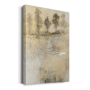Cloaked in Mist II - Canvas Art Print