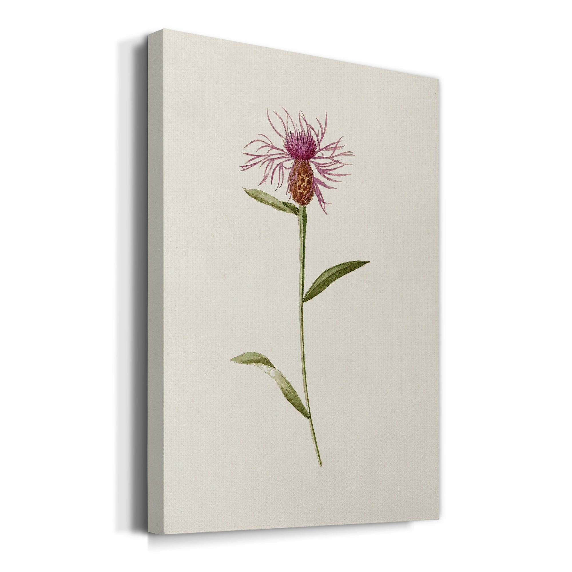 Mauve Garden Flowers VI Premium Gallery Wrapped Canvas - Ready to Hang