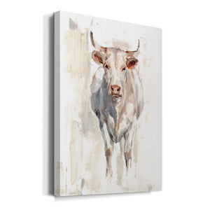 Sunlit Cows II - Canvas Art Print