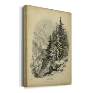 The Larch - Canvas Art Print