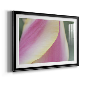 Delicate - Modern Framed Art Print
