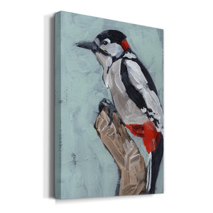 Woodpecker Paintstrokes I - Canvas Art Print