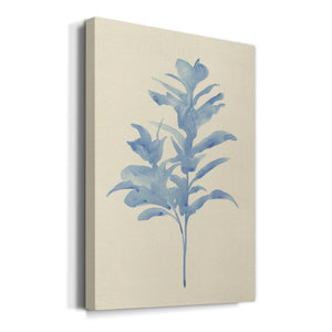 Verditer Fig I - Canvas Art Print