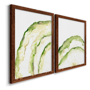 Lichen Halo I - Barnwood Framed Canvas Set