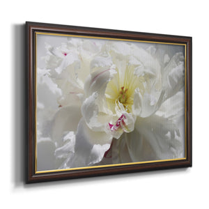 Breathless III Premium Framed Canvas- Ready to Hang