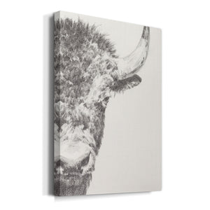 Graphite Bison Portrait II - Canvas Art Print