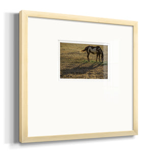 Long Shadow- Premium Framed Print Double Matboard