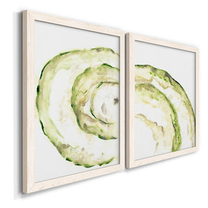 Lichen Halo V - Barnwood Framed Canvas Set