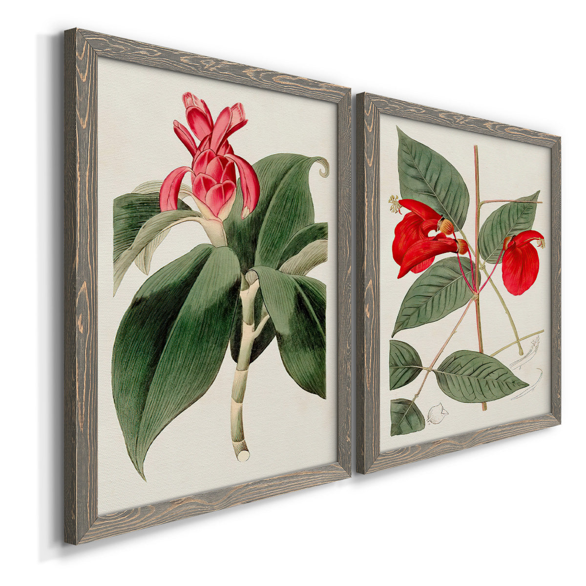 Flora of the Tropics I - Premium Framed Canvas 2 Piece Set - Ready to Hang