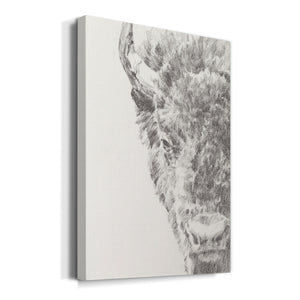 Graphite Bison Portrait I - Canvas Art Print