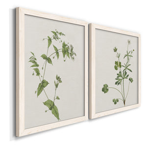 Wispy Botanical I - Premium Framed Canvas 2 Piece Set - Ready to Hang