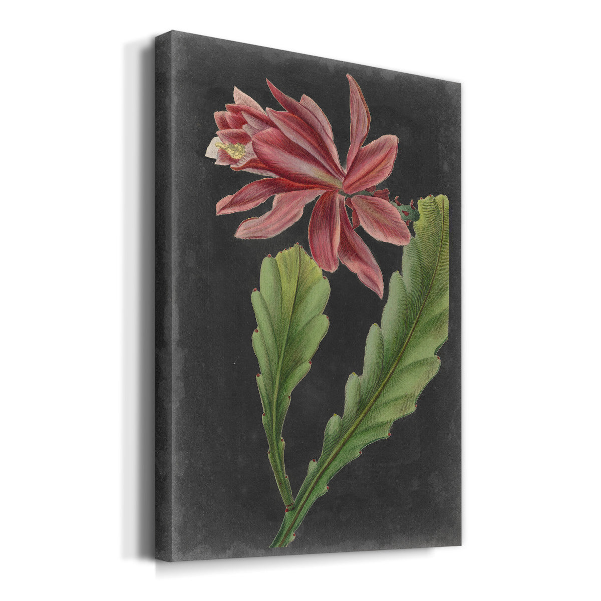 Dramatic Tropicals I Premium Gallery Wrapped Canvas - Ready to Hang