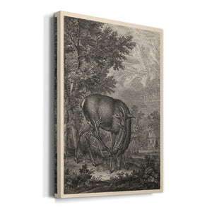 Woodland Deer IV Premium Gallery Wrapped Canvas - Ready to Hang