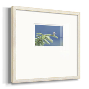 Evergreen Perch- Premium Framed Print Double Matboard