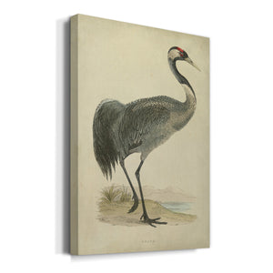 Morris Crane I - Canvas Art Print