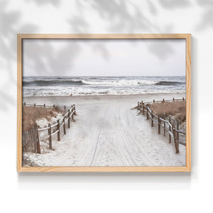 46228,beach,pathway,sand,waves,wooden fences,dusk,shoreline,tranquility,nature,coastline,ocean,relaxation,seascape,evening,outdoor,summer,travel,adventure,scenic,horizon,water,serenity,breeze,landscape,tourism,recreation,peaceful,environment,beauty,natural,escape,leisure,view,calm,sandy,ambiance,exploration,sunset,reflection,warm,coastal,Re-stickable,Plants & Flowers