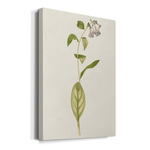 Mauve Garden Flowers IV Premium Gallery Wrapped Canvas - Ready to Hang