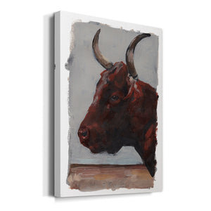 Cattle View I - Canvas Art Print