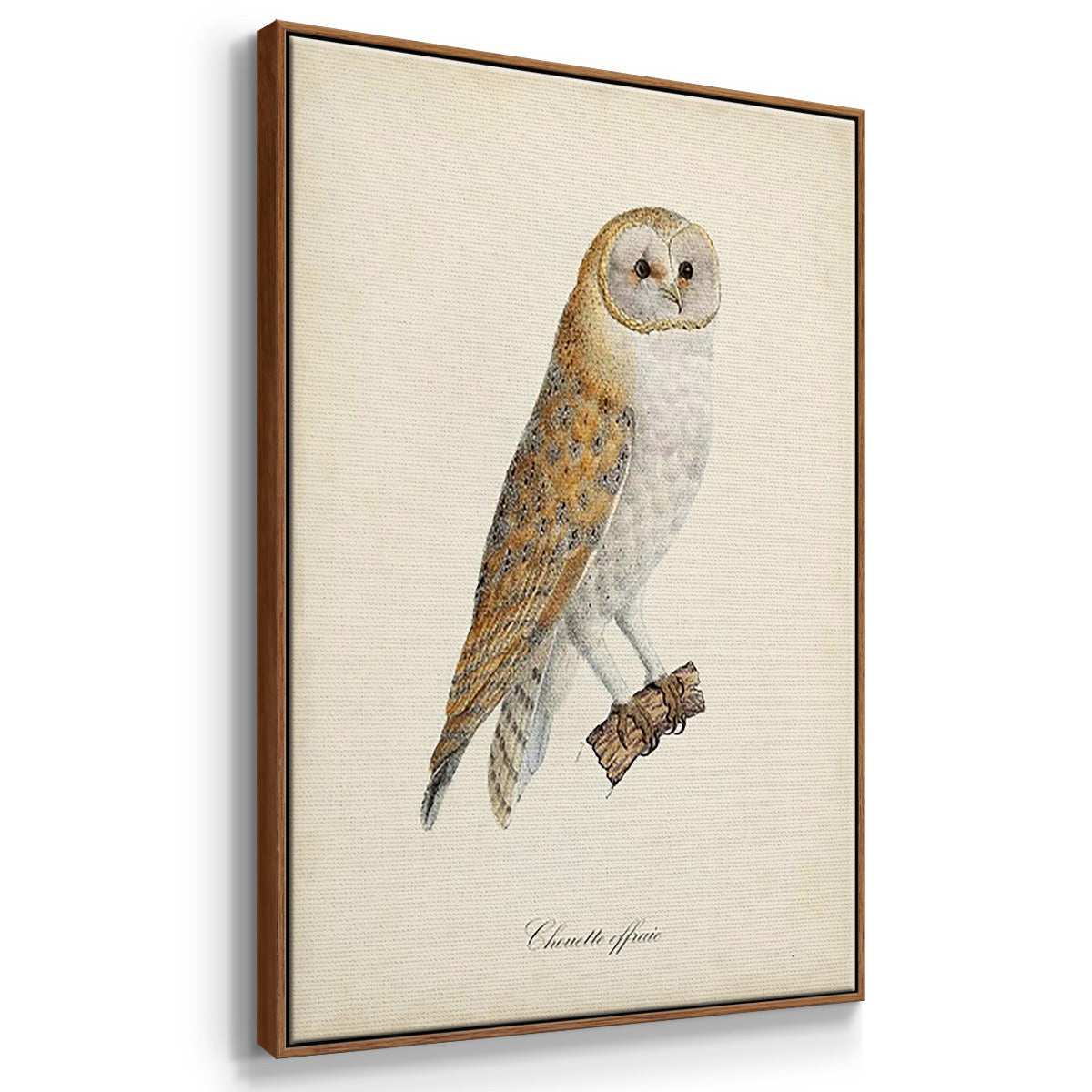 French Owls IV - Framed Premium Gallery Wrapped Canvas L Frame 3 Piece Set - Ready to Hang