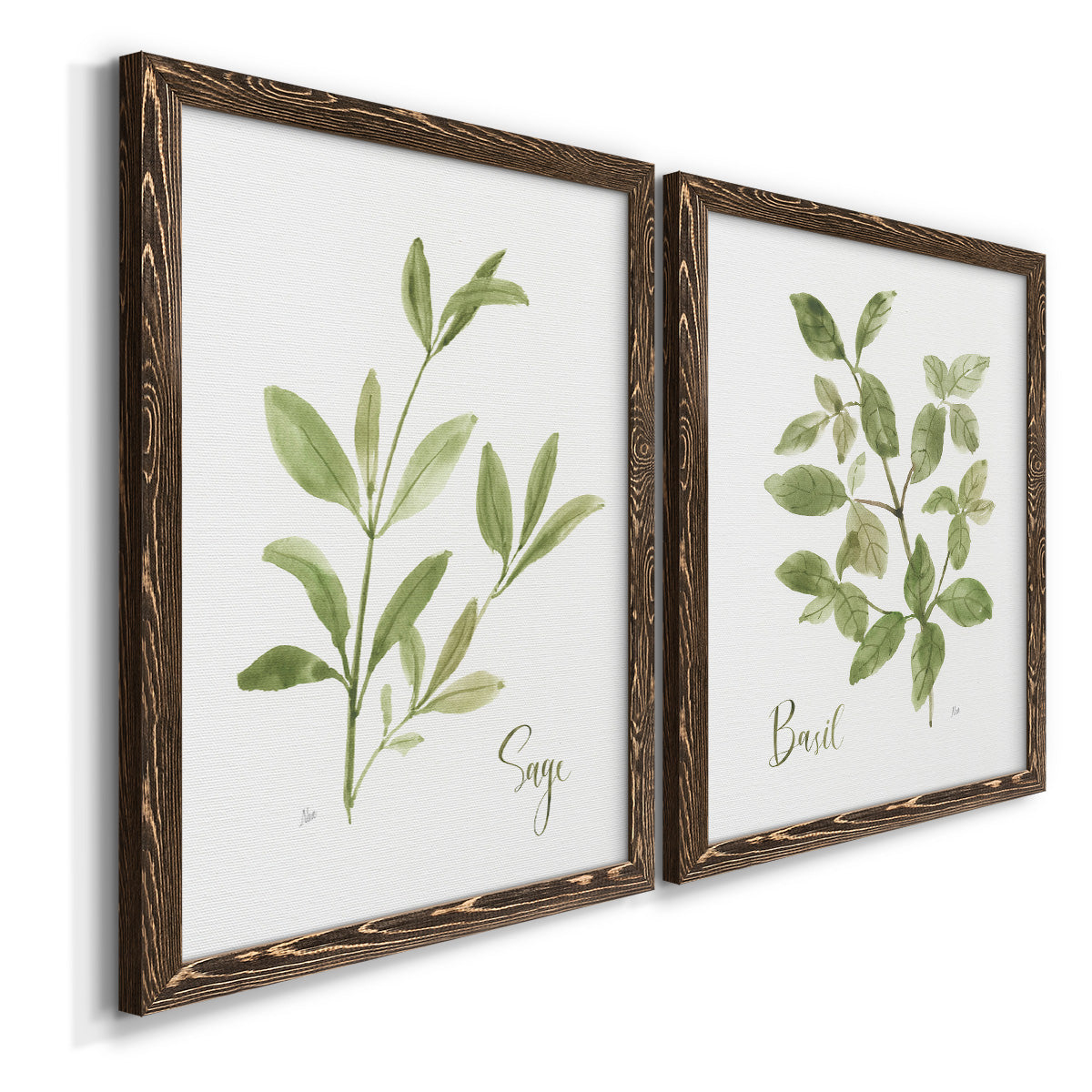 Herb Sage - Premium Framed Canvas 2 Piece Set - Ready to Hang