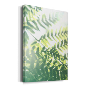 UA Fern Glow V Premium Gallery Wrapped Canvas - Ready to Hang