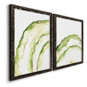 Lichen Halo I - Barnwood Framed Canvas Set