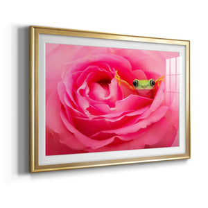 Hanging On VIII - Modern Framed Art Print
