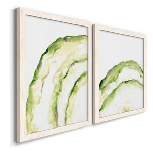 Lichen Halo I - Barnwood Framed Canvas Set