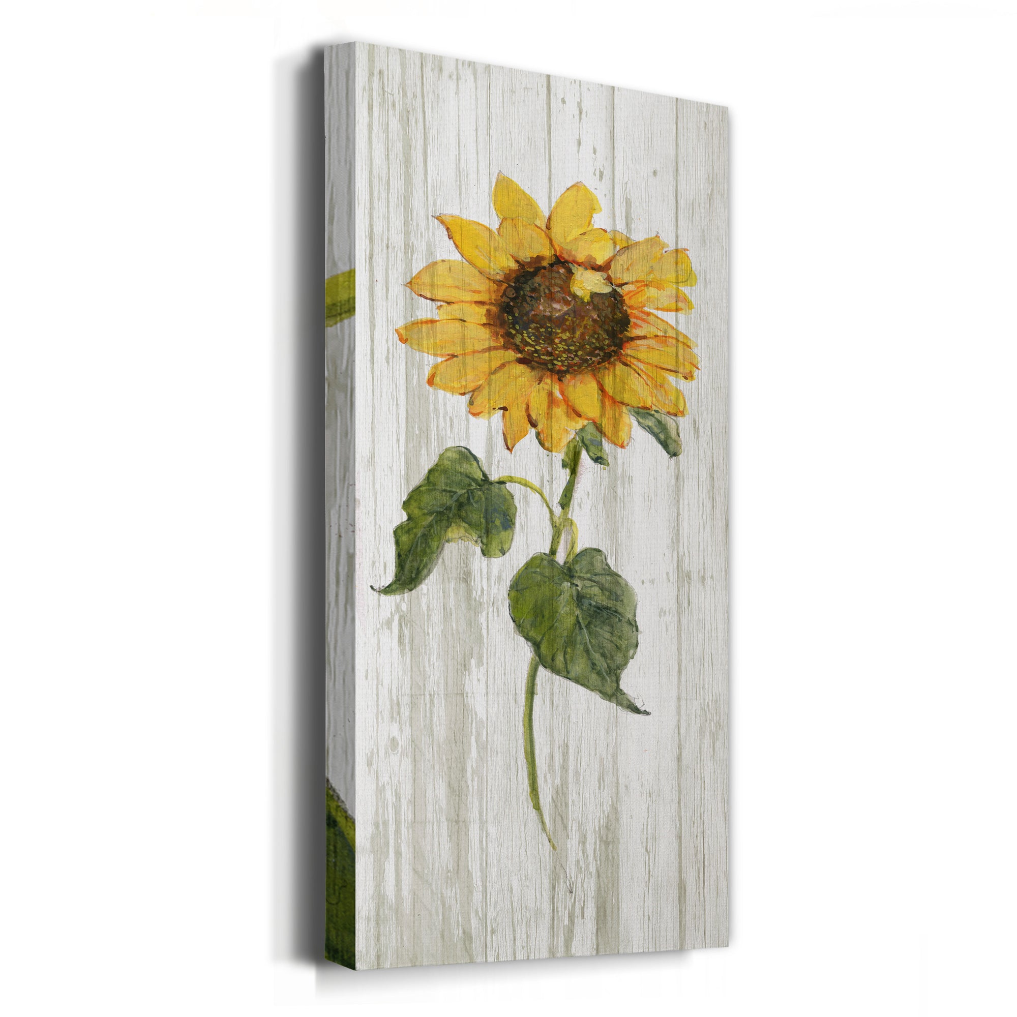 Sunflower in Autumn II - Premium Gallery Wrapped Canvas - Ready to Hang